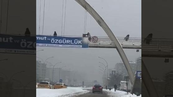 Kar topu atan �ocuklar� �ld�resiye d�vd�! ��pheli g�zalt�nda