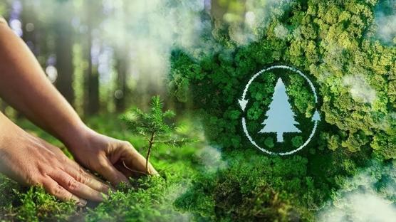 2025'te 517 milyon fidan ve tohum toprakla bulu�tu