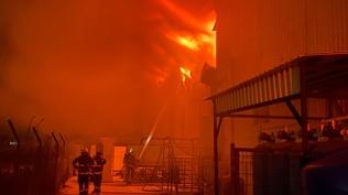 Antalya'da so�uk hava deposunda yang�n: Alevlere m�dahale ediliyor