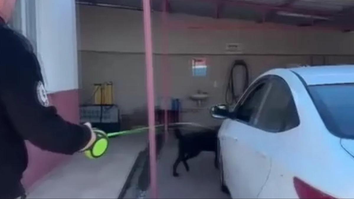 'Babam� ziyarete gidiyordum' dedi, ara�tan 66 bin uyu�turucu hap ��kt�