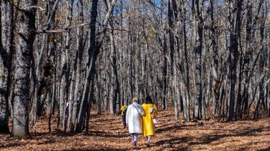 Kayıtlara geçti: Türkiye son 55 yılın en sıcak 8. sonbaharını yaşadı