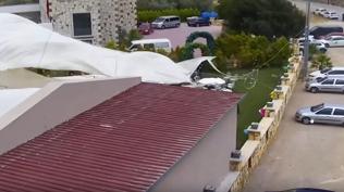 Dekoratif betonun alt�nda can vermi�lerdi