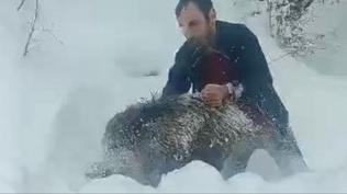 S�r�ye dal�p, ��plak eliyle domuz yakalad�! Ger�e�i anlatt�: Bir an� olsun diye yakalad�m