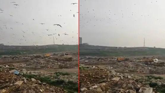 CHP'li belediyeye �evre kirlili�i cezas�