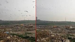 CHP'li belediyeye çevre kirliliği cezası