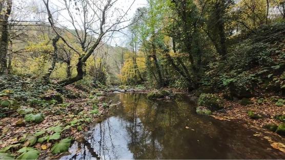 �stanbul'da yakla��k 4 milyon ki�i korunan alanlar� tercih etti
