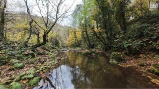 İstanbul'da yaklaşık 4 milyon kişi korunan alanları tercih etti