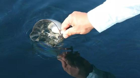 B�lgeye petrol piyangosu