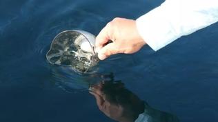 B�lgeye petrol piyangosu