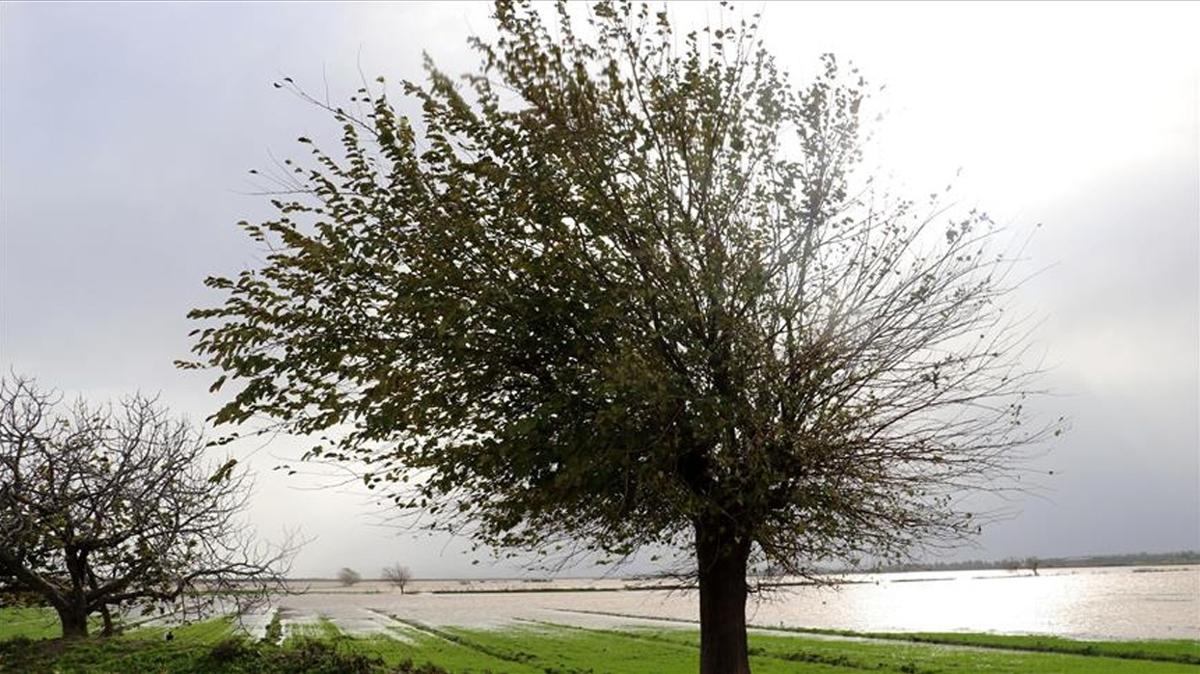 Yo�un ya���lar �lkenin y�z�n� g�ld�rd�... 7 y�l s�ren kurakl�k bitti