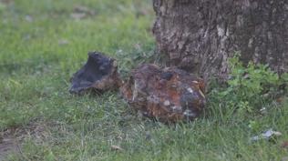 �anakkale'de parktan patlamam�� m�himmat ��kt�