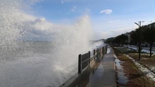 Karadeniz'in dalgalar� evleri tehdit ediyor