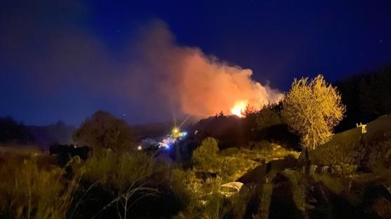 Antalya'da ormanl�k alanda yang�n... Alevlere m�dahale ediliyor