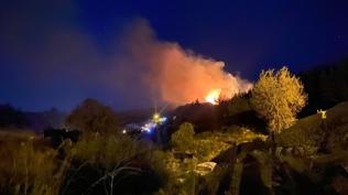 Antalya'da ormanl�k alanda yang�n... Alevlere m�dahale ediliyor