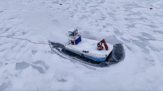 En son 10 yıl önce görülmüştü: Duyan ziyarete geliyor