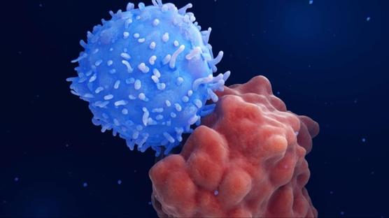 Kanser tedavisinde yerli CAR-T hamlesi! Yerli �retim ba�l�yor