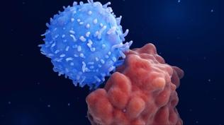 Kanser tedavisinde yerli CAR-T hamlesi! Yerli �retim ba�l�yor