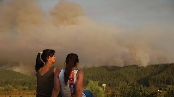 �ili'nin g�neyinde meydana gelen orman yang�nlar�nda 18 ki�i �ld�