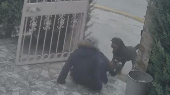 Ba�kentte sahipsiz k�pek facias�: Kom�unun yard�m�yla kurtuldu