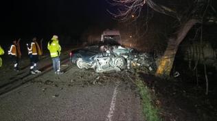 Bursa'da a�aca �arpan otomobildeki 2 ki�i �ld�, 2 ki�i yaraland�