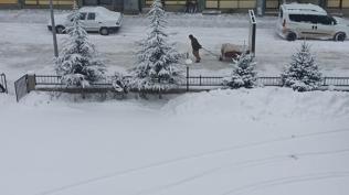 Kar kal�nl��� 15 santimetreye ula�t�: Ya��� etkisini s�rd�r�yor