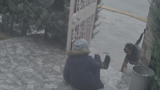 Elmada�'da sahipsiz k�pek deh�eti: Kom�um olmasayd� hayatta olmazd�m