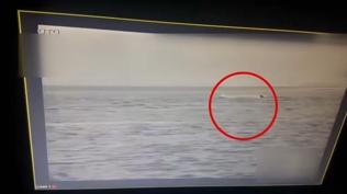 19 organizat�r yakaland�