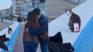 Mudanya'da s�ra d��� foto�raf mesaisi: Kedi 'tripod' g�revi �stlendi