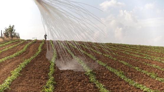 Suriye'de kimyasal alarm�!