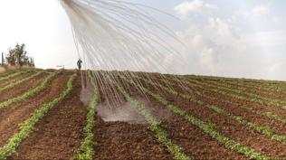 Suriye'de kimyasal alarmı!