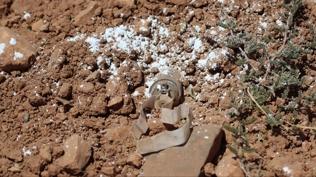 Halep'te teröristlerin hain 'mayın' tuzağı: 3 kişi yaşamını yitirdi