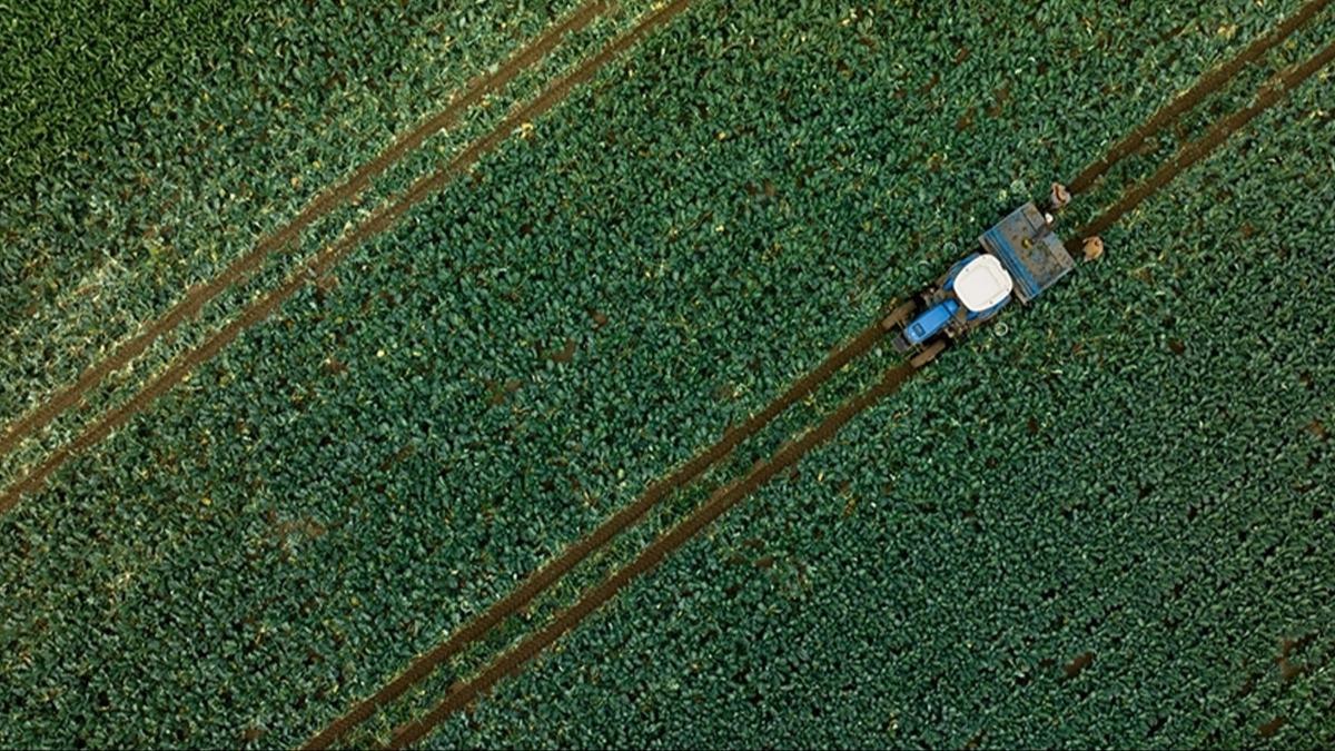 255,4 milyon lira tar�msal destekleme �demesi hesaplara aktar�l�yor