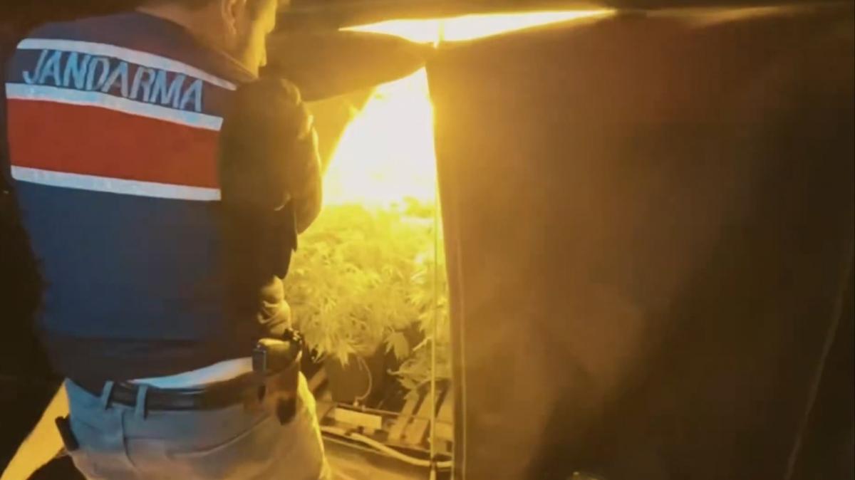 23 ilde Jandarma operasyonu