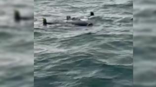 �stanbul'da �HA alarm�