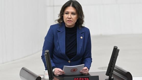 TBMM'de yeniden Seda G�ren d�nemi! Yurtd��� T�rkler Alt Komisyonu'nda g�ven tazeledi