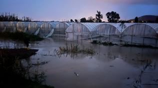 Antalya'da sa�anak ve hortum: Hayat fel� oldu