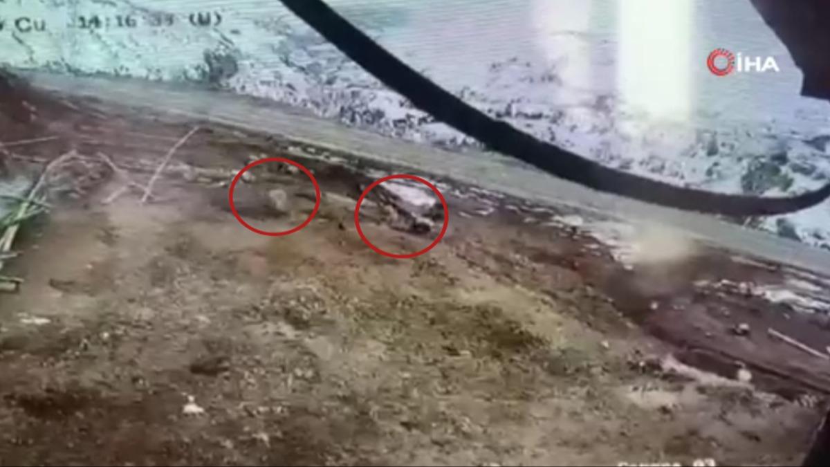 4,9 b�y�kl���ndeki depremde kaydedildi