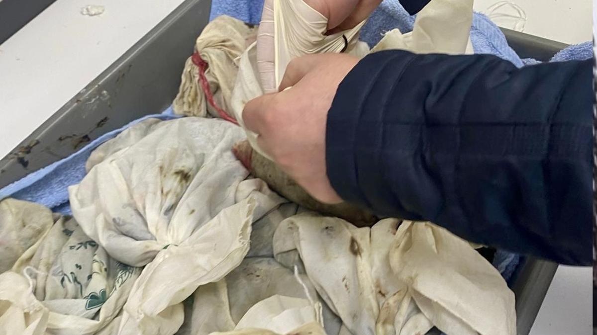 Bakanl�k a��klad�: �lkeye yasa d��� giri�i engellendi