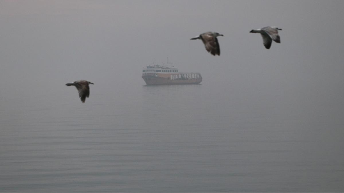 Tekirda�'da deniz ula��m�na sis engeli
