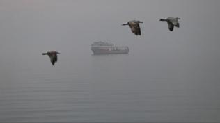 Tekirda�'da deniz ula��m�na sis engeli