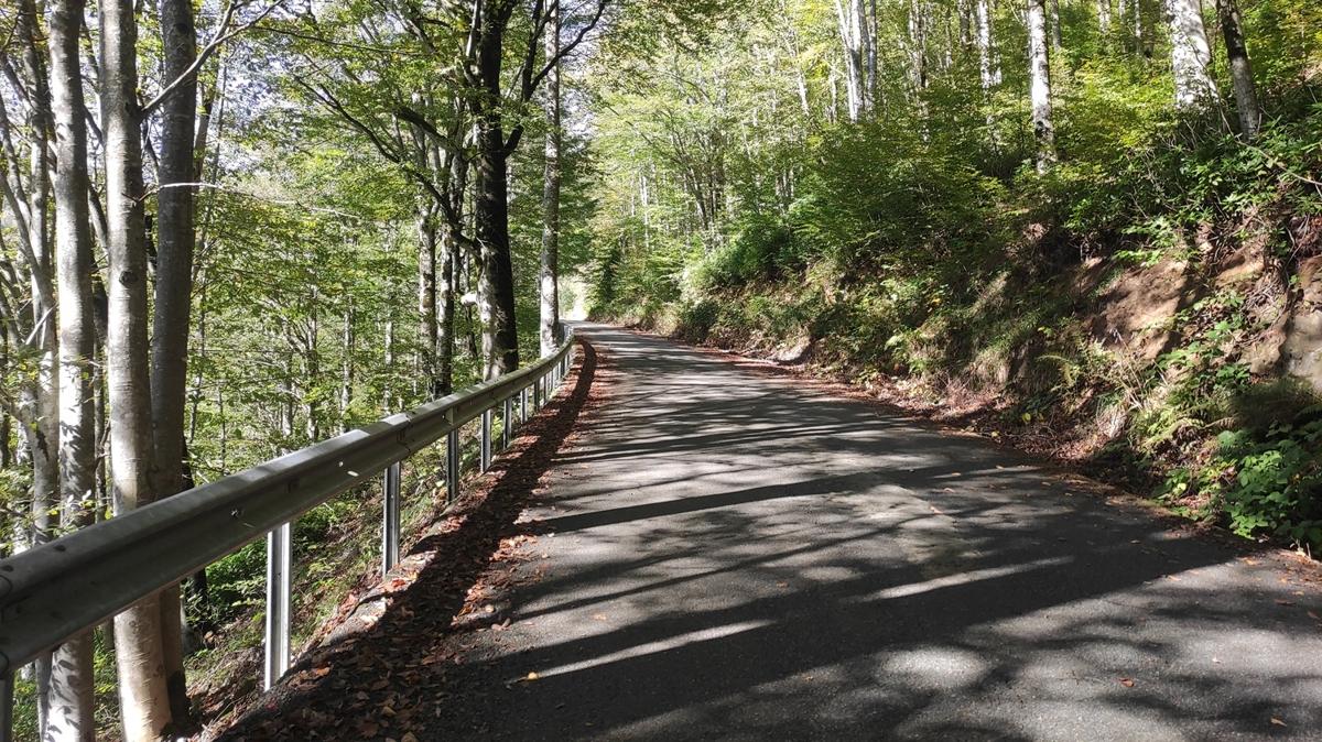 Korunan alan say�s� 700'e dayand�