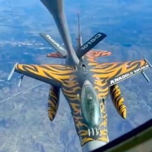 'Romanya hava sahas�nda bir kaplan'