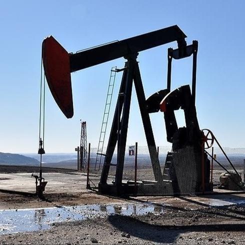 Petrol alternatifi i�in T�rkiye'ye y�neldiler