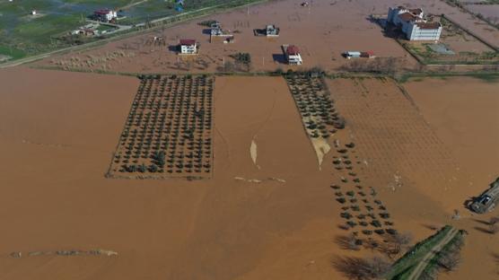 Sa�anak �reticileri vurdu! Devlet sahaya indi: �al��malar aral�ks�z s�r�yor