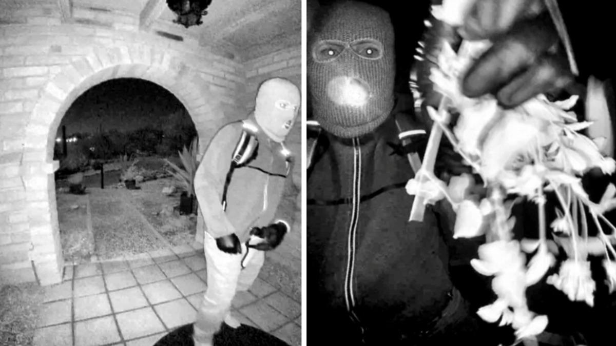 FBI: Guthrie'nin evine 3 kilometre mesafede bulunan eldivendeki DNA, ��pheliyle e�le�ti