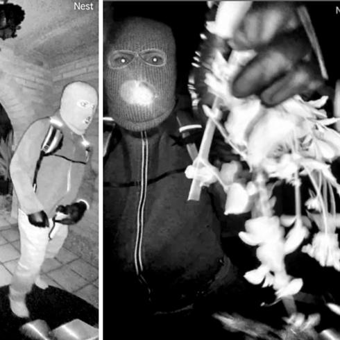 FBI: Guthrie'nin evine 3 kilometre mesafede bulunan eldivendeki DNA, ��pheliyle e�le�ti