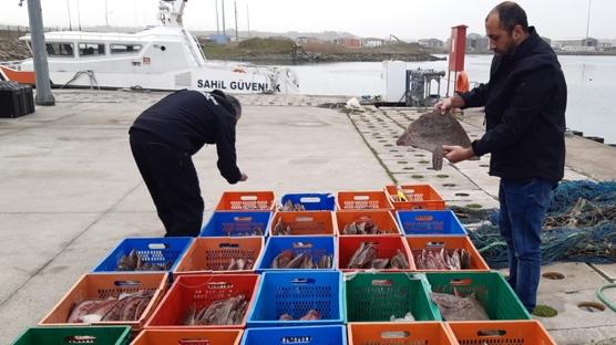 Sakarya'da kaçak avcılığa müdahale... 850 kilo kalkan balığına el konuldu