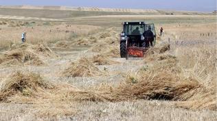 AB destekli proje ba�l�yor! T�rkiye, Bulgaristan ve G�rcistan'dan g�� birli�i