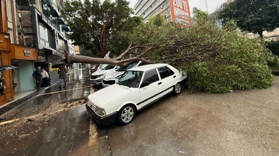 Adana'da sa�anak ve f�rt�na alarm�: A�a�lar devril, yollar g�le d�nd�