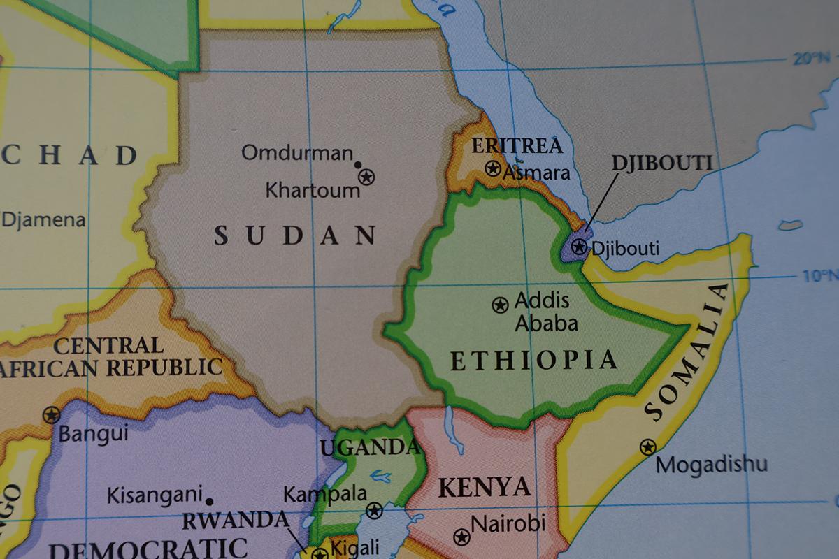 Türkiye'nin Afrika Boynuzu stratejisi